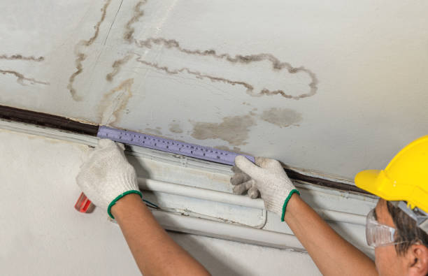 Reliable Water Damage Repair contractor in Hammond, LA by Hirex Water Damage